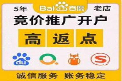 百度推广活动策划，实战案例展示